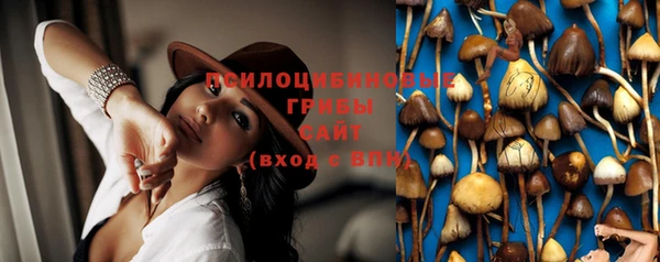 кокс Белокуриха
