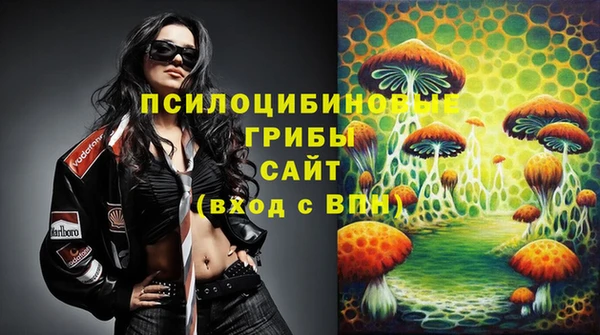 кокс Белокуриха