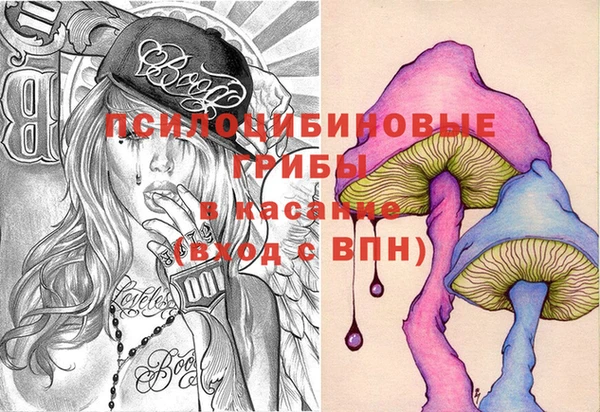 кокс Белокуриха