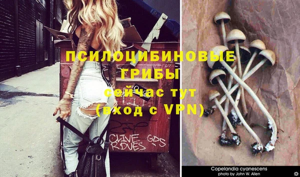 каннабис Белоозёрский