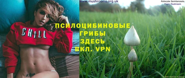 ешки Беломорск