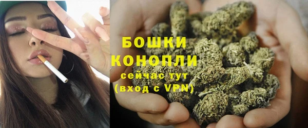 кокс Белокуриха