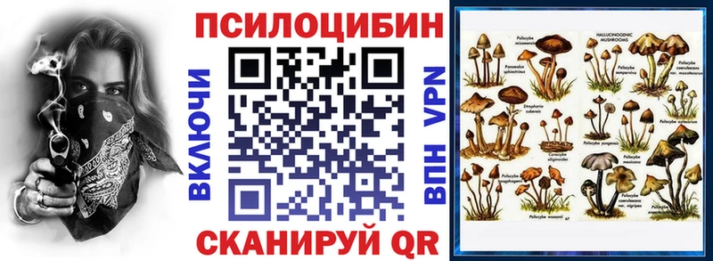 Псилоцибиновые грибы GOLDEN TEACHER  гидра   Котельнич  купить закладку 